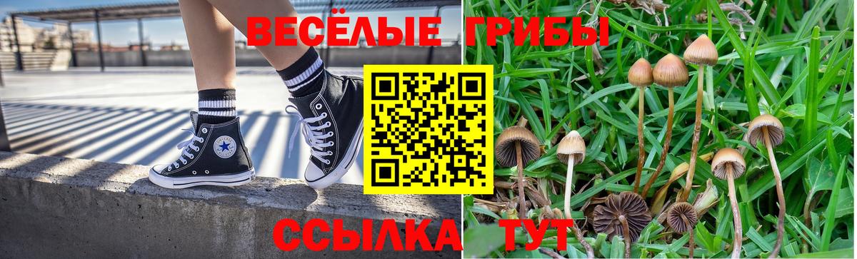 Псилоцибиновые грибы GOLDEN TEACHER  Галлюциногенные грибы Psilocybe  Вход с VPN  Набережные Челны 